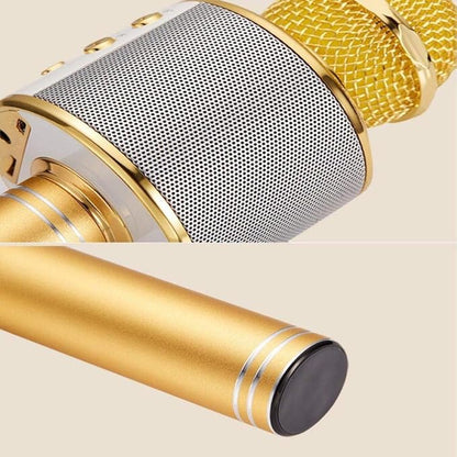 Music Mic WS-858